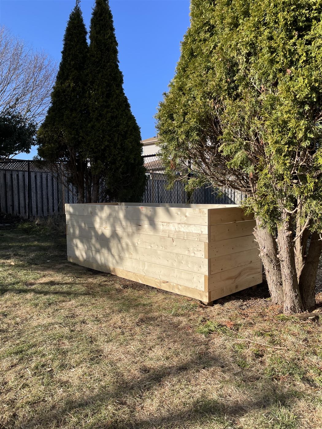 Tall wooden raised garden bed built from horizontal boards, in a backyard beside cedar trees